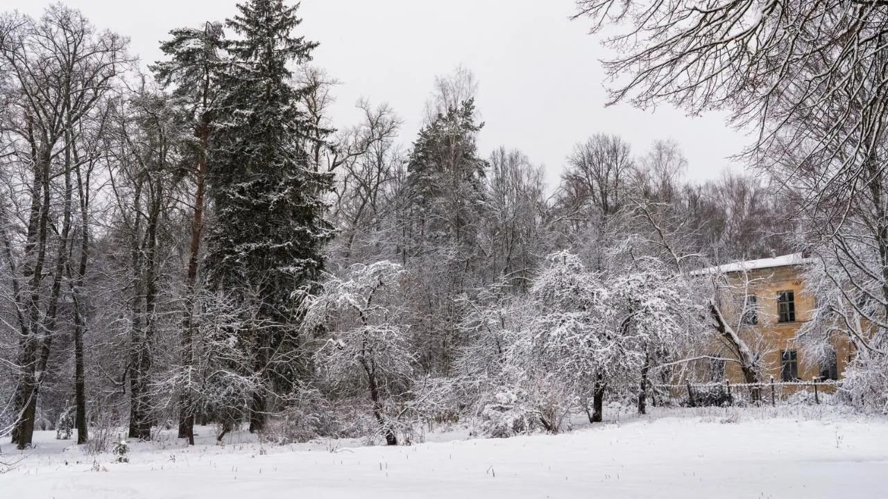 медиасток.рф