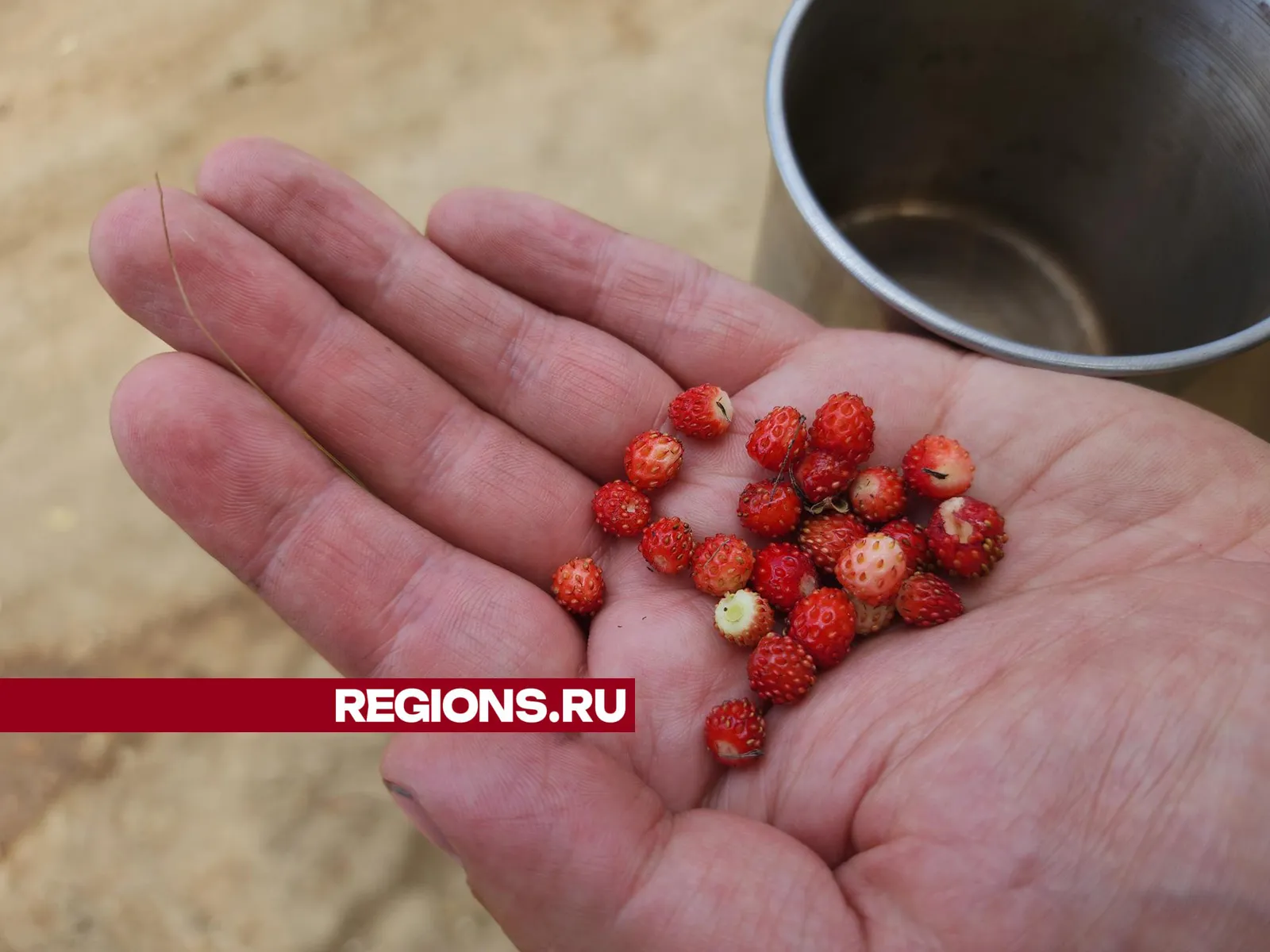 Фото: Андрей Семибратов