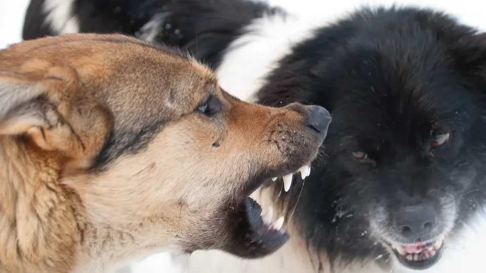 Фото: istockphoto.com