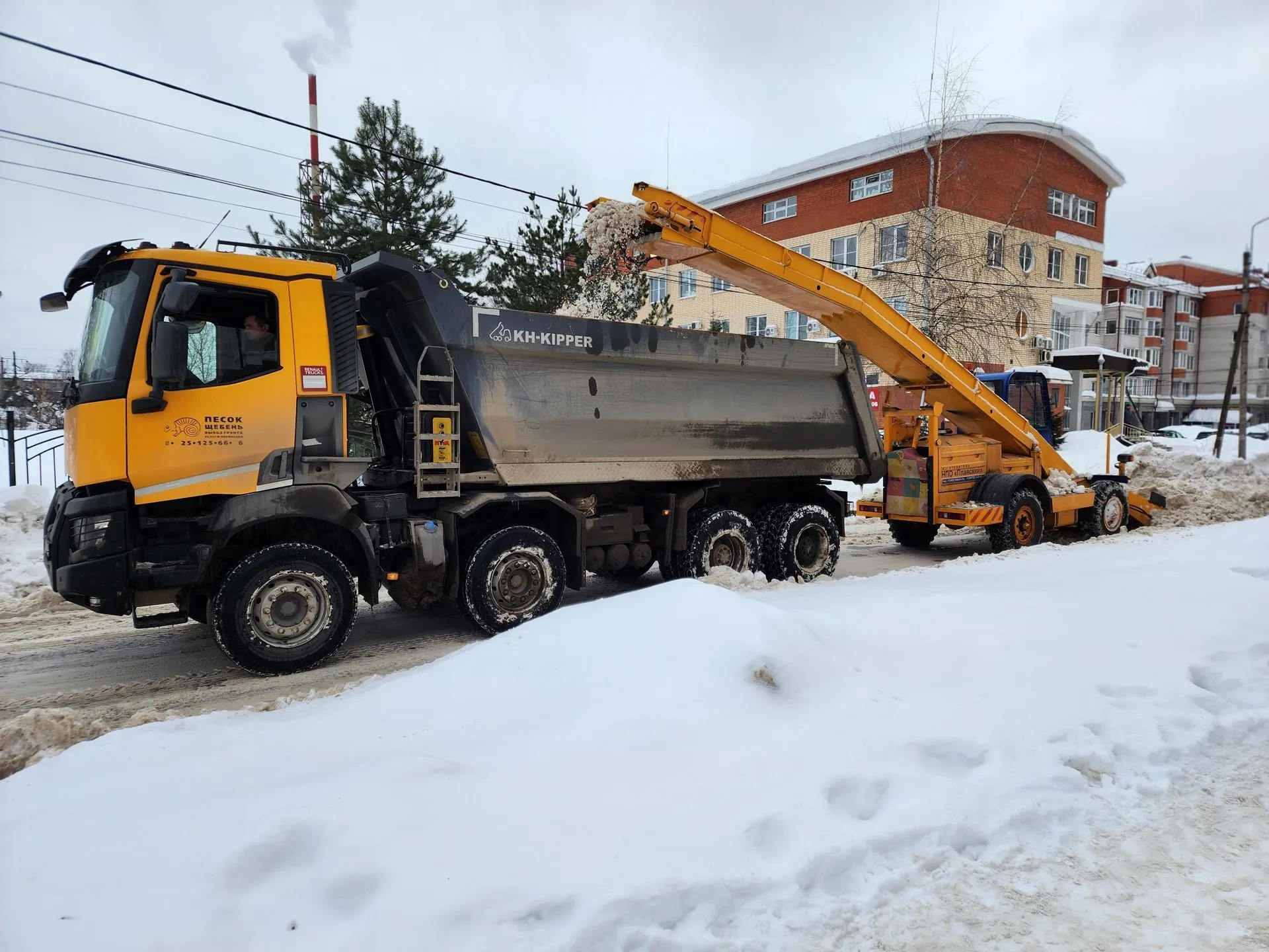 REGIONS/Елена Шумакова