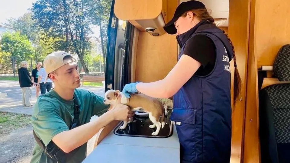 Фото: пресс-служба администрации м.о. Истра