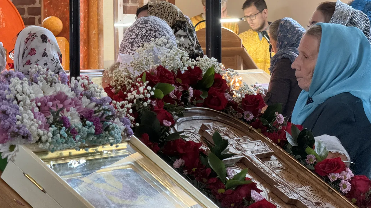 МедиаБанк Подмосковья/Татьяна Рунова