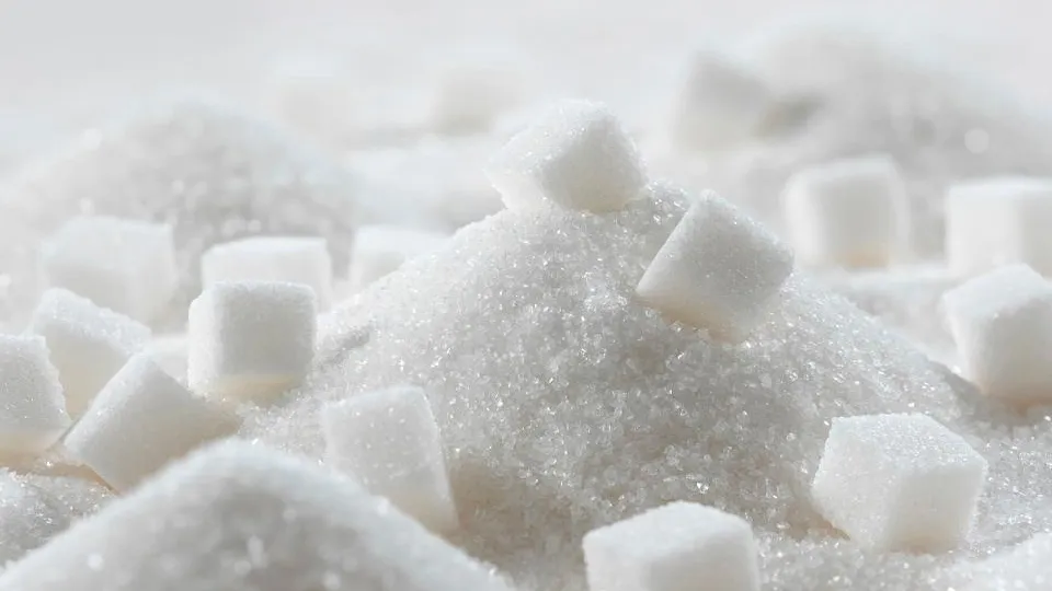 Фото: istockphoto.com/Andrii Shablovskyi