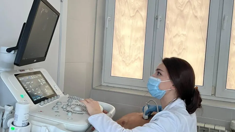 Фото: Красногорская больница