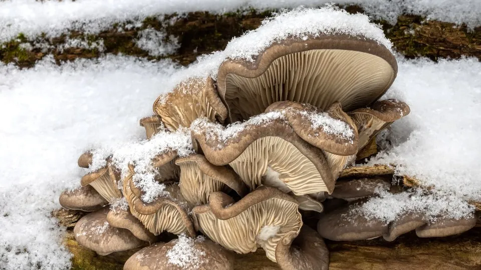 Фото: istockphoto.com