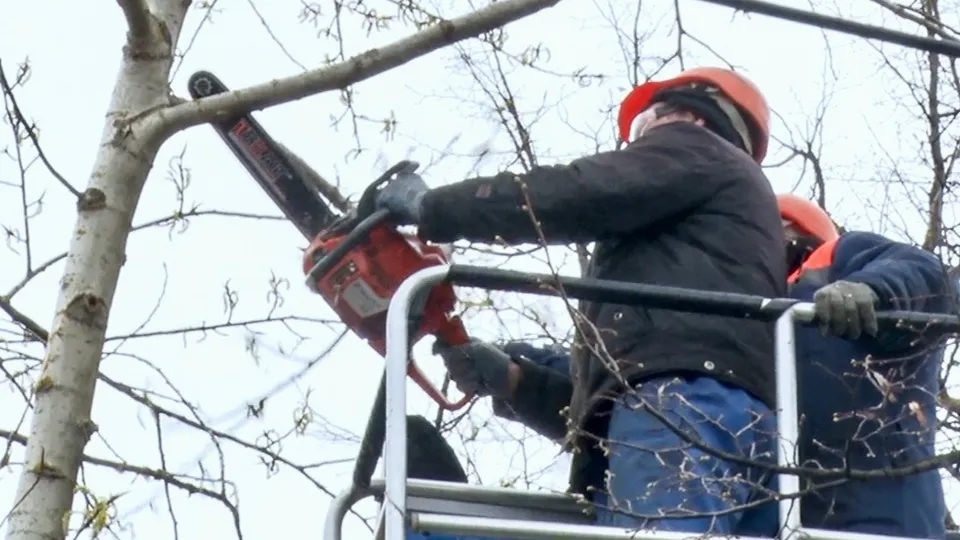 Фото: МедиаБанк Подмосковья/Данила Кирьянов