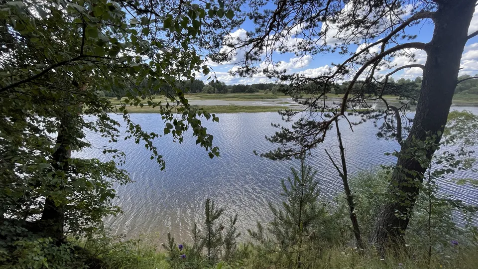 Фото: МедиаБанк Подмосковья/Татьяна Рунова