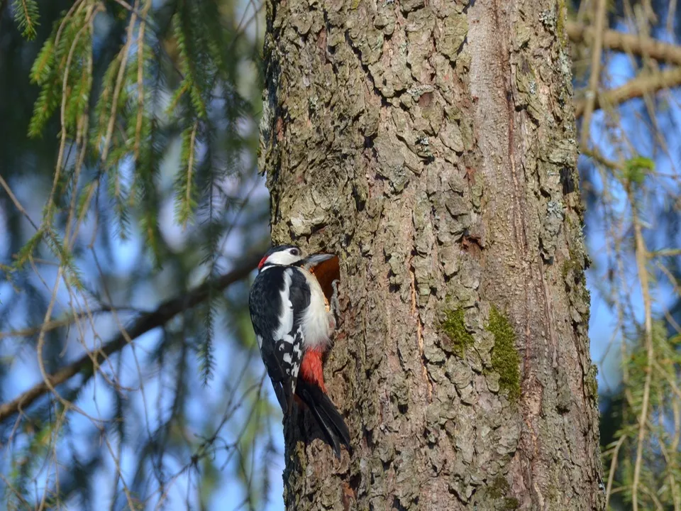 Фото: из личного архива Бориса Короткова