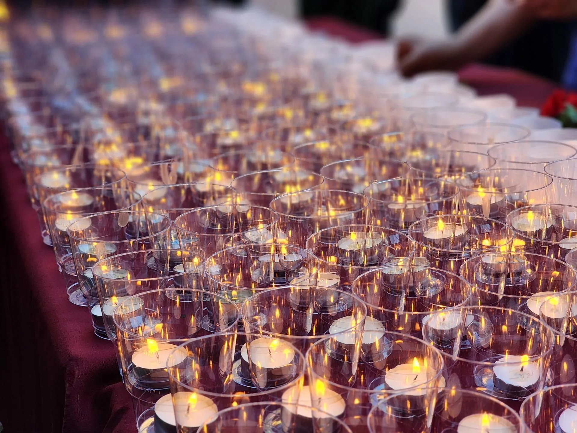 Фото: администрация городского округа Воскресенск