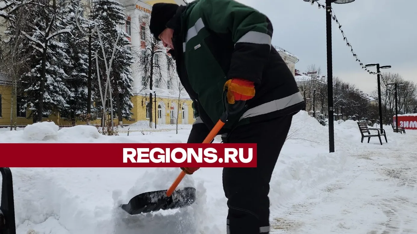 Фото: Нина Басистая