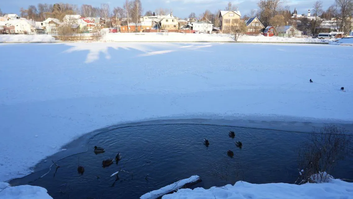 Фото: t.me/OErohanovaSP