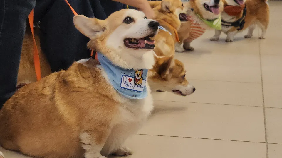 Фото: МедиаБанк Подмосковья/Роман Кутузов