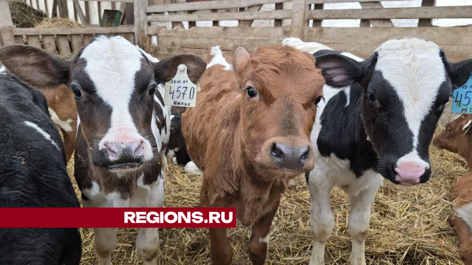 Фото: Яна Шаливская