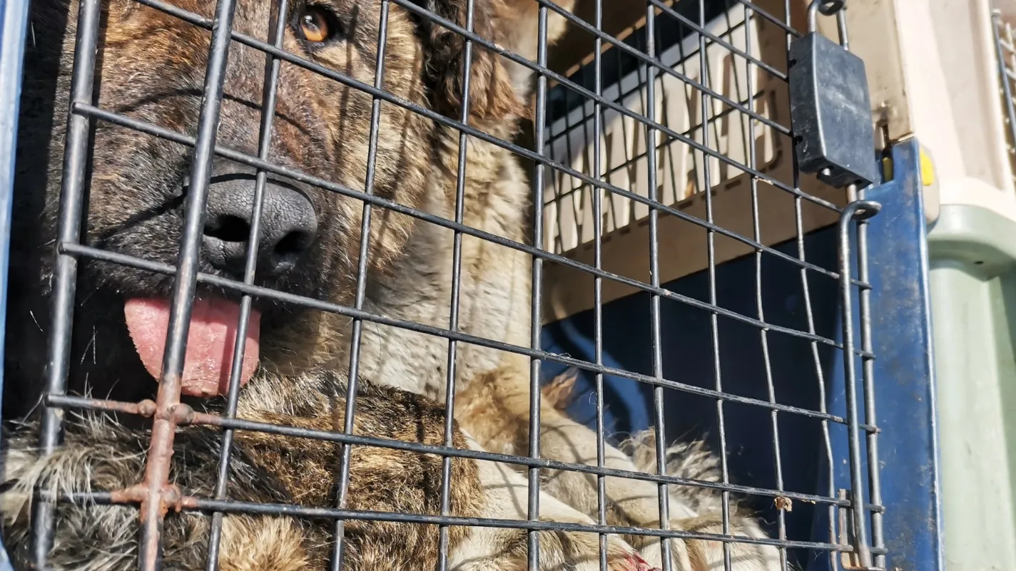 Фото: ТАСС/Евгений Епанчинцев