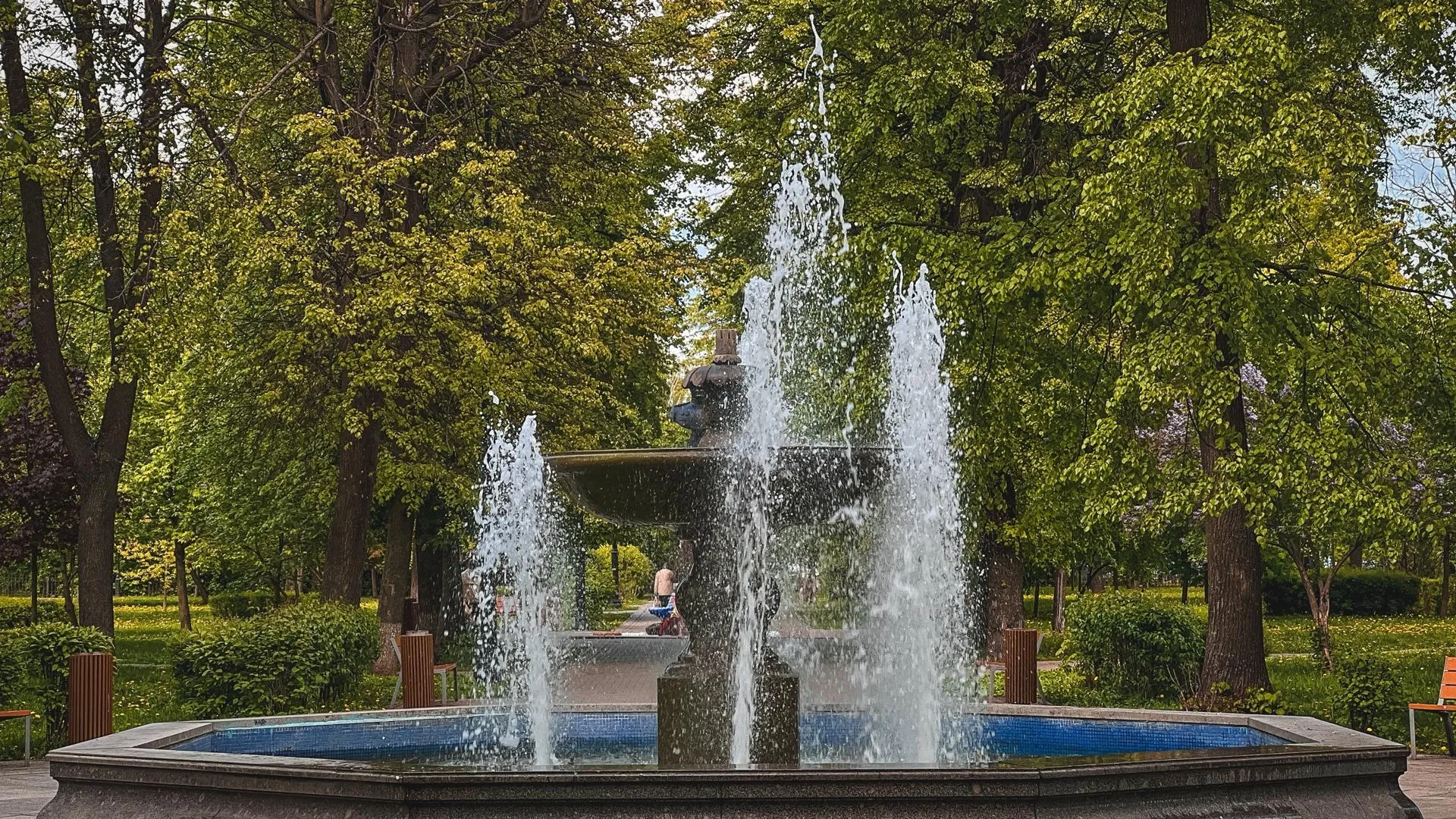 Фото: пресс-служба администрации городского округа Коломна