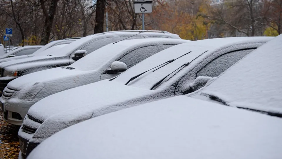 Фото: медиасток.рф