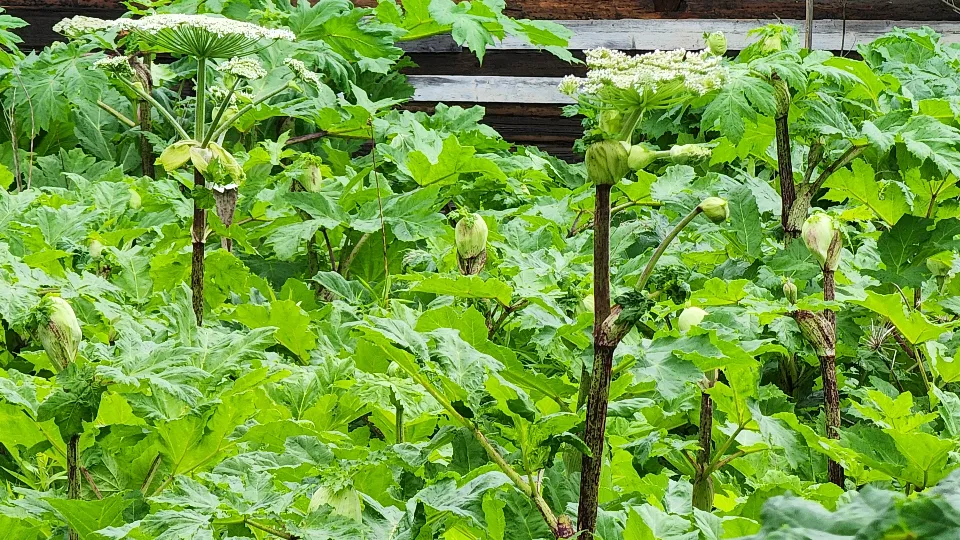 Фото: Медиабанк Подмосковья/Екатерина Данилина