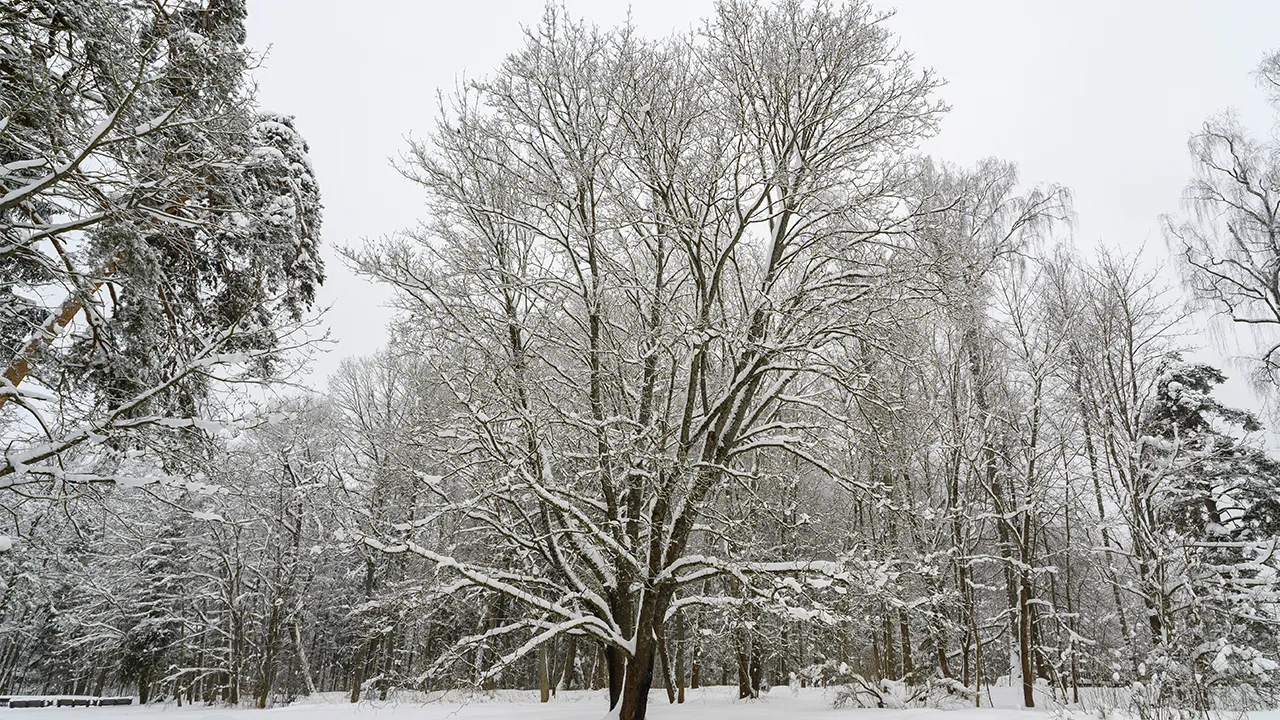 медиасток.рф