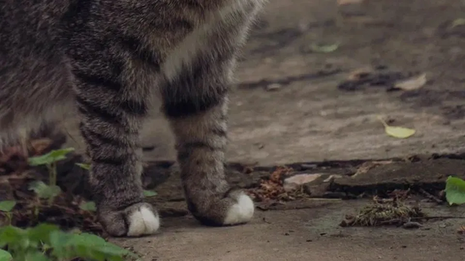 Фото: REGIONS/Наталия Надточая