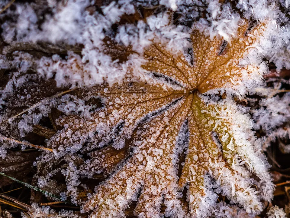 Фото: Антон Кондратюк<br>