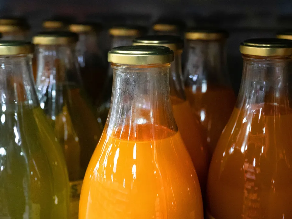 Фото: РИА Новости/Владимир Трефилов