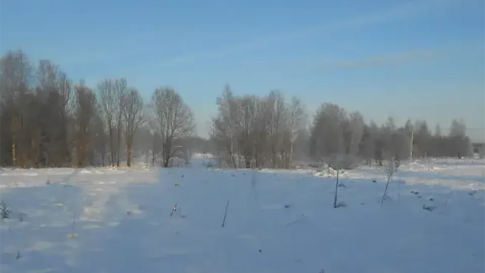 Фото: Комитет по конкурентной политике МО