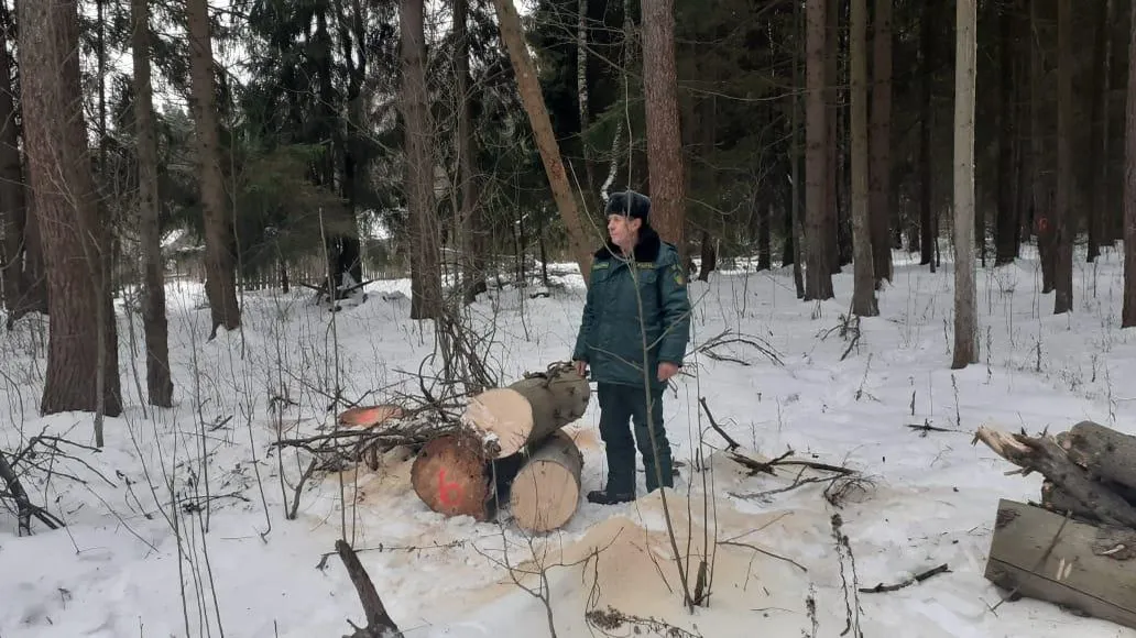 Комитет лесного хозяйства Московской области