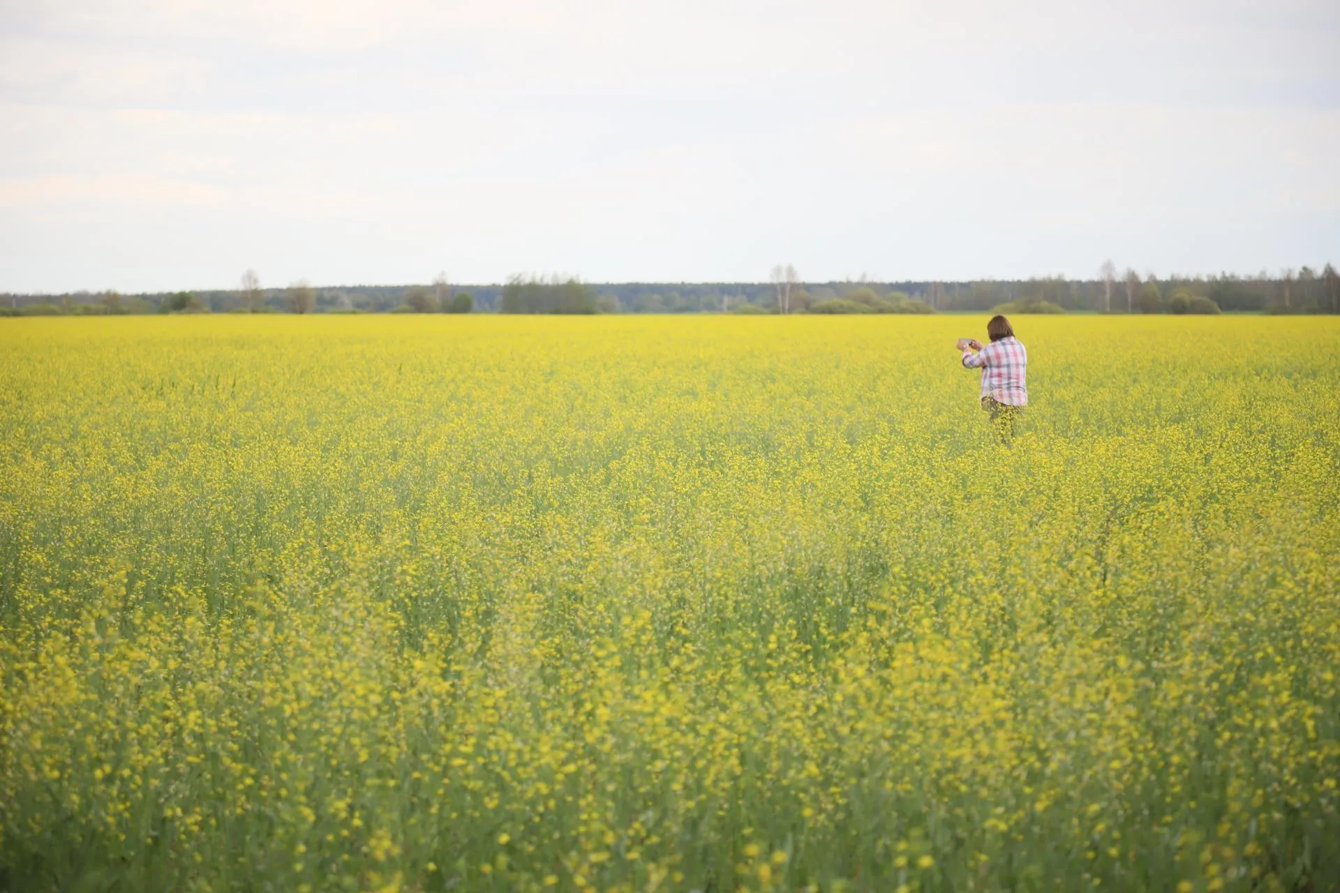 Фото: пресс-служба администрации г.о. Шатура&nbsp;