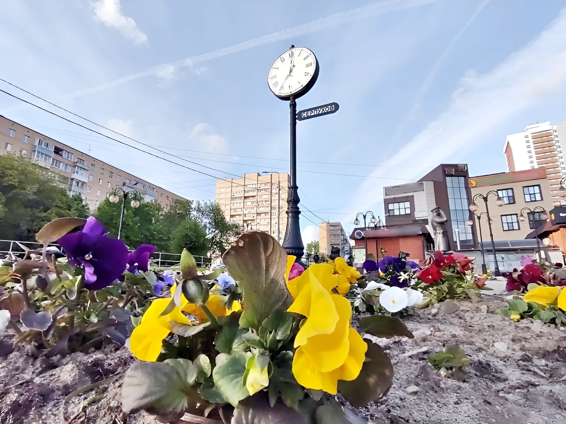 Фото: REGIONS/Алексей Селиверстов