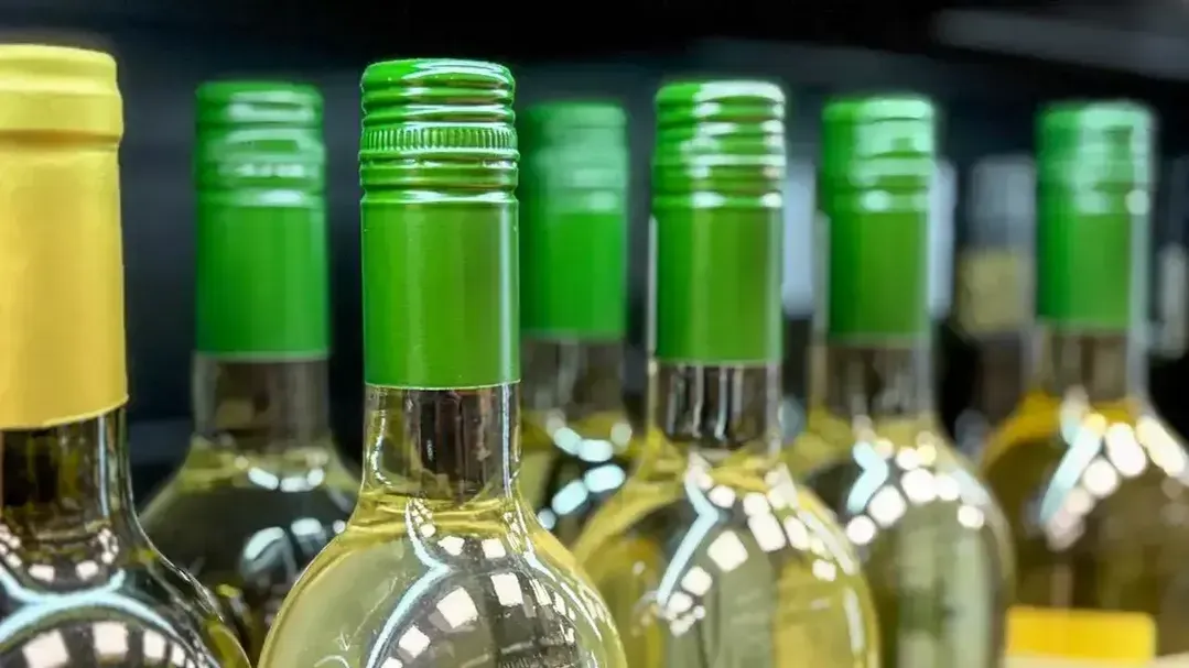 REGIONS/ Полина Крачун