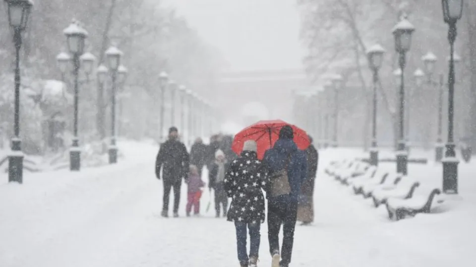 Фото: медиасток.рф