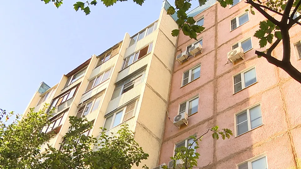 Фото: МедиаБанк Подмосковья/Ксения Казакова