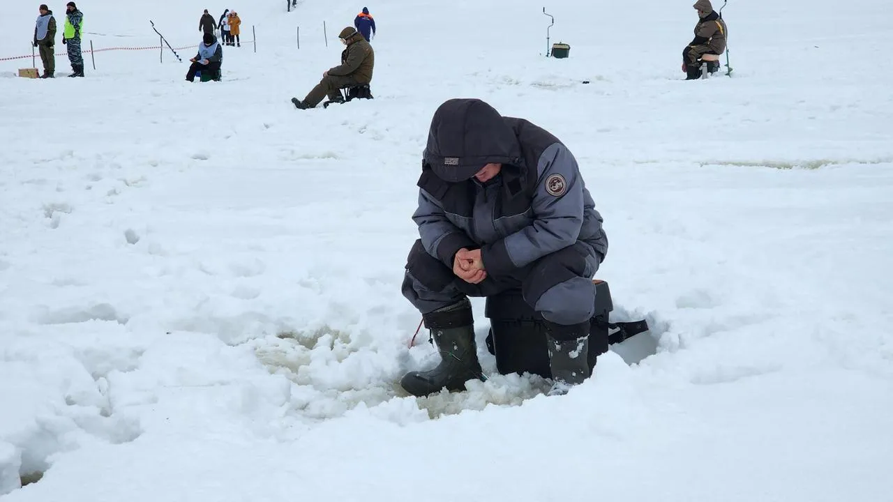 МедиаБанк Подмосковья/Екатерина Данилина