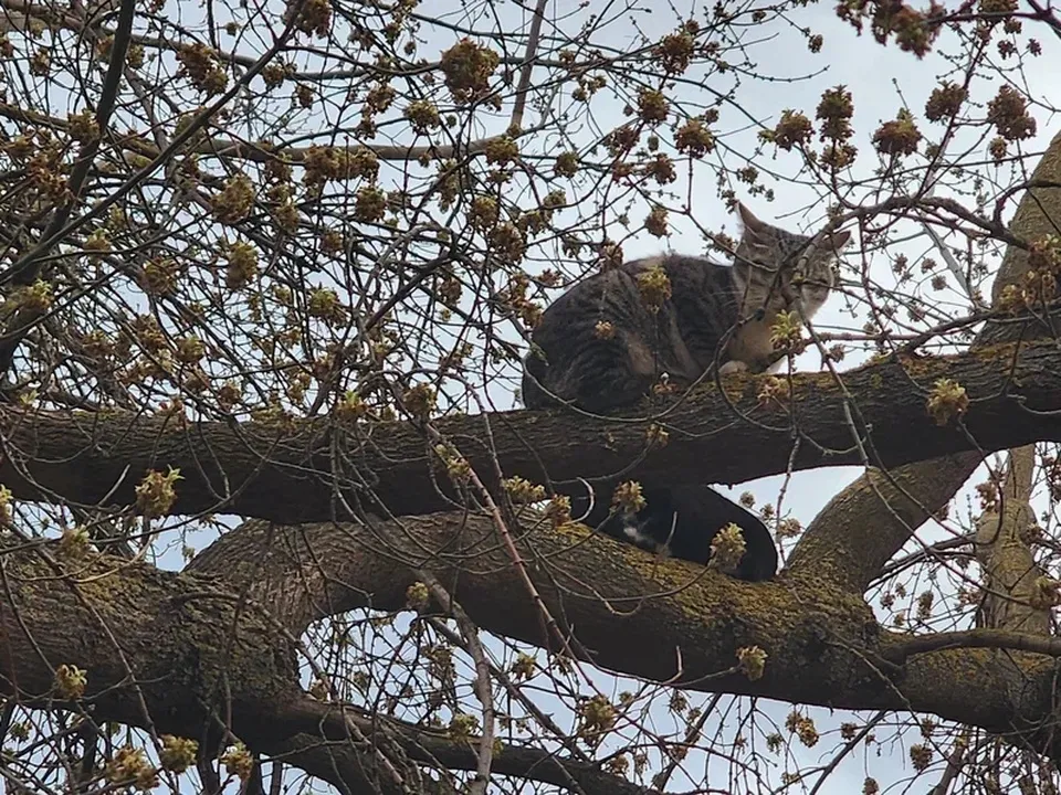 Фото: REGIONS/Наталия Надточая