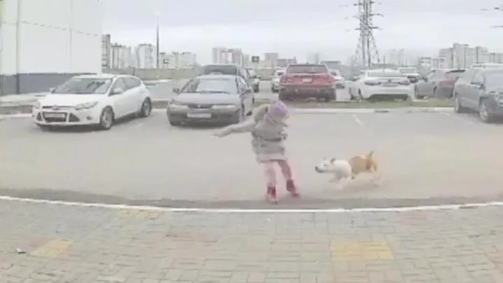 Фото: скриншот с видео с камеры наблюдения