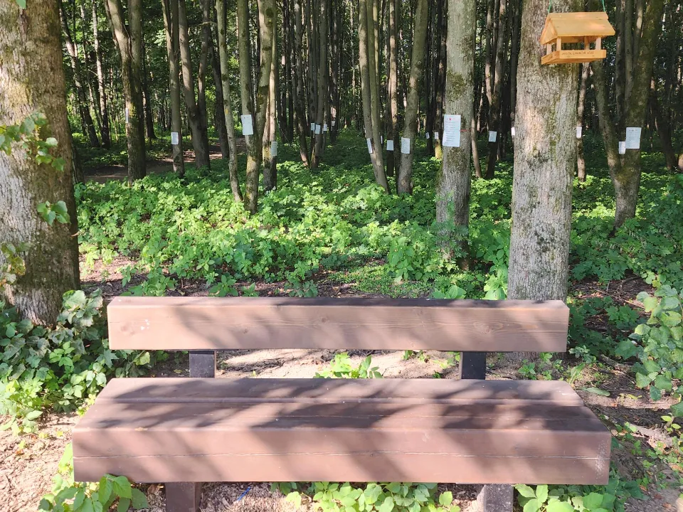 Фото: Хавива Фонина