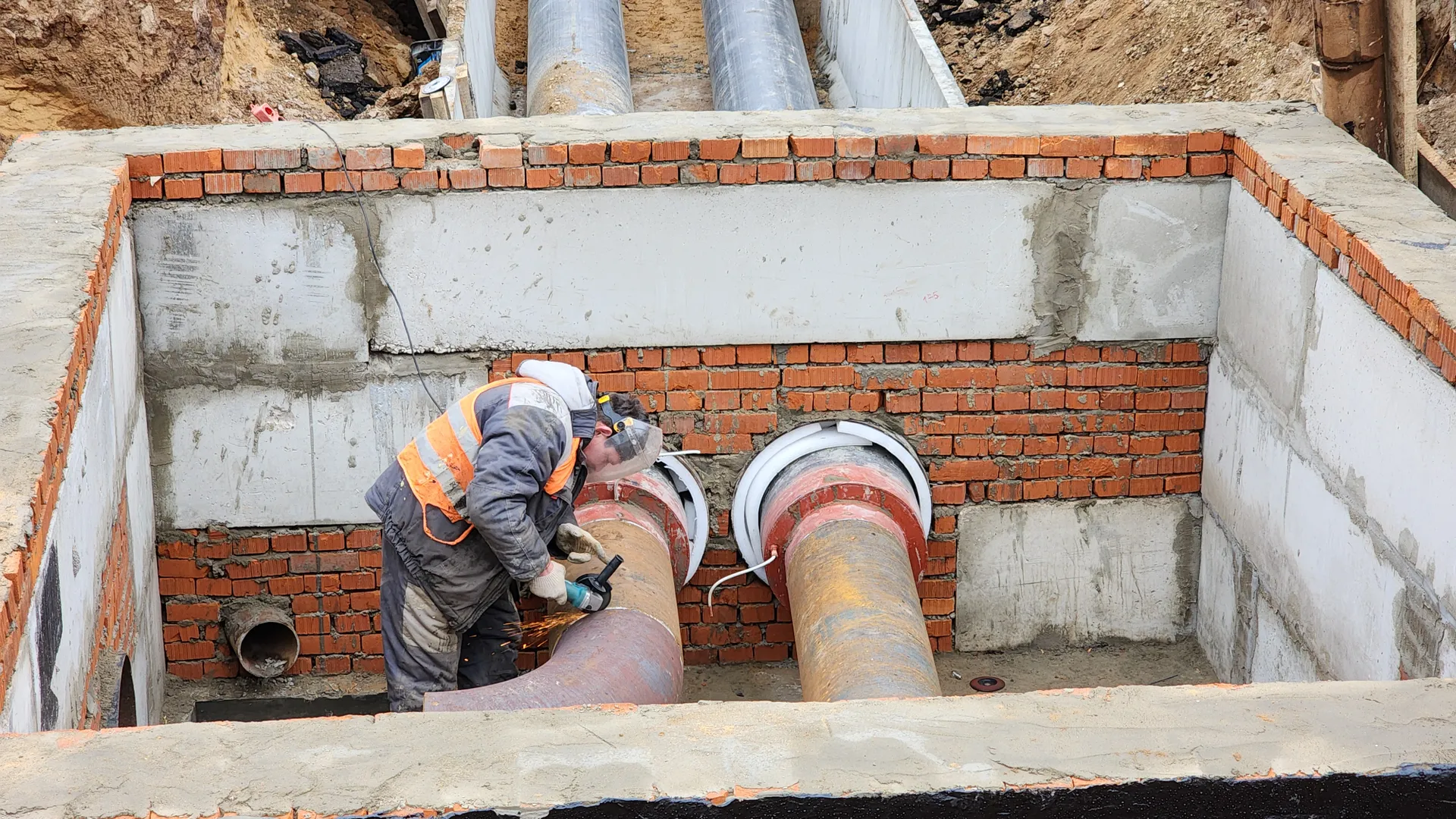 Фото: МедиаБанк Подмосковья/Валерия Тингаева