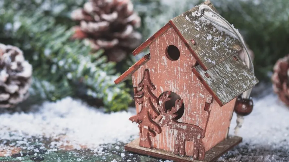 Фото: freepik.com