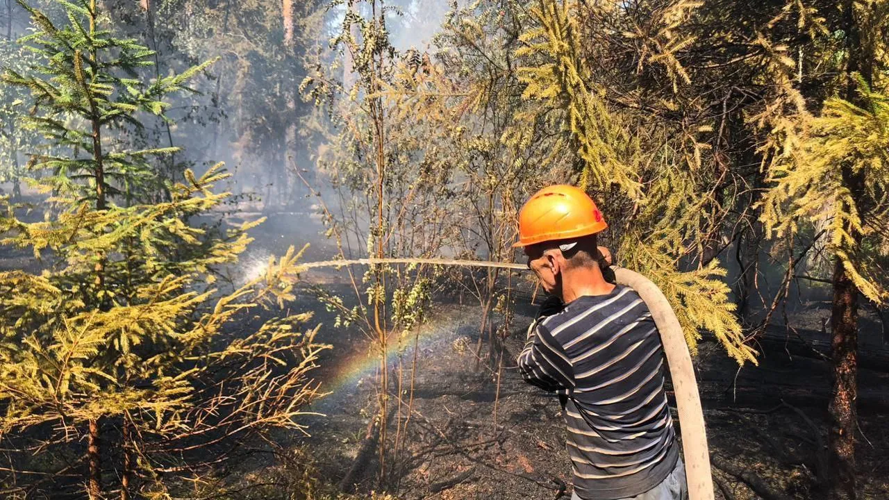 Фото: t.me/mosoblcomles