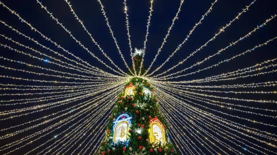 Фото: t.me/vorobiev_live