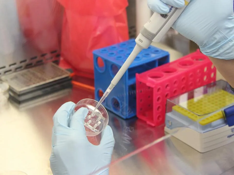 Биологическое оружие ВСУ или случайность: найдена причина появления очага страшной болезни в России