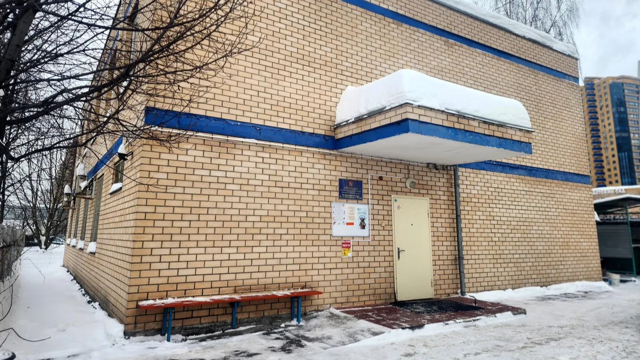 Мария Овчинникова