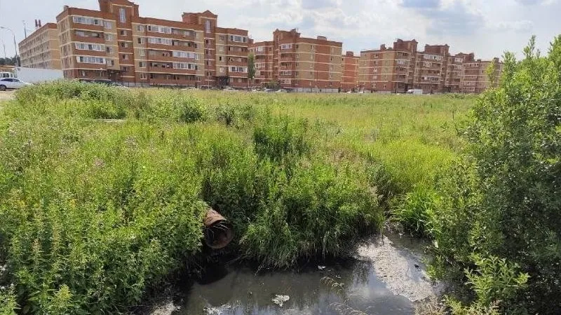 Фото: Министерство экологии и природопользования Московской области