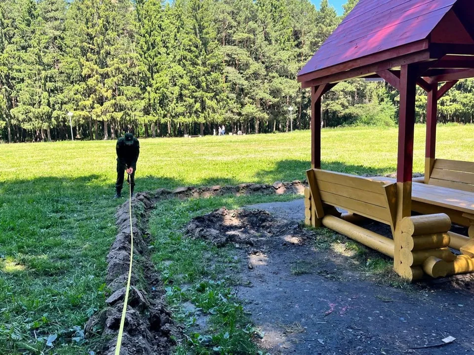 Фото: Комитет лесного хозяйства  Московской области