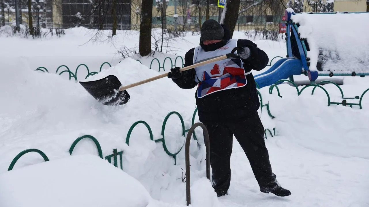 Владимир Останин