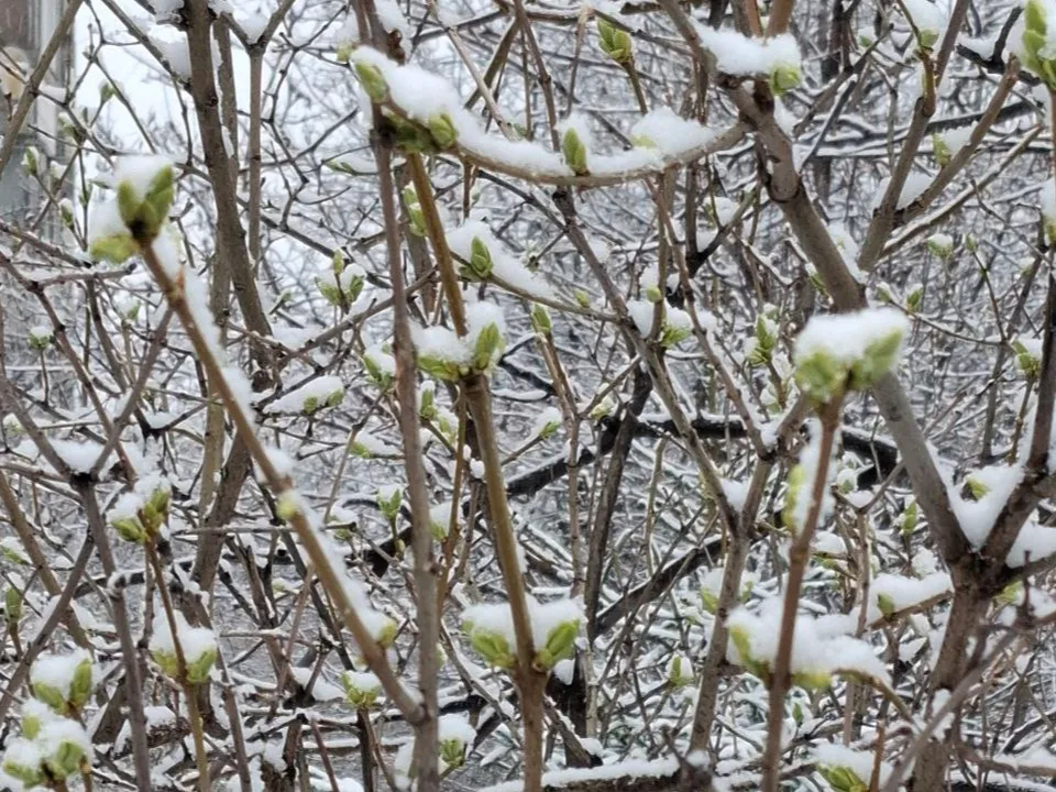 Фото: Александра Загороднова
