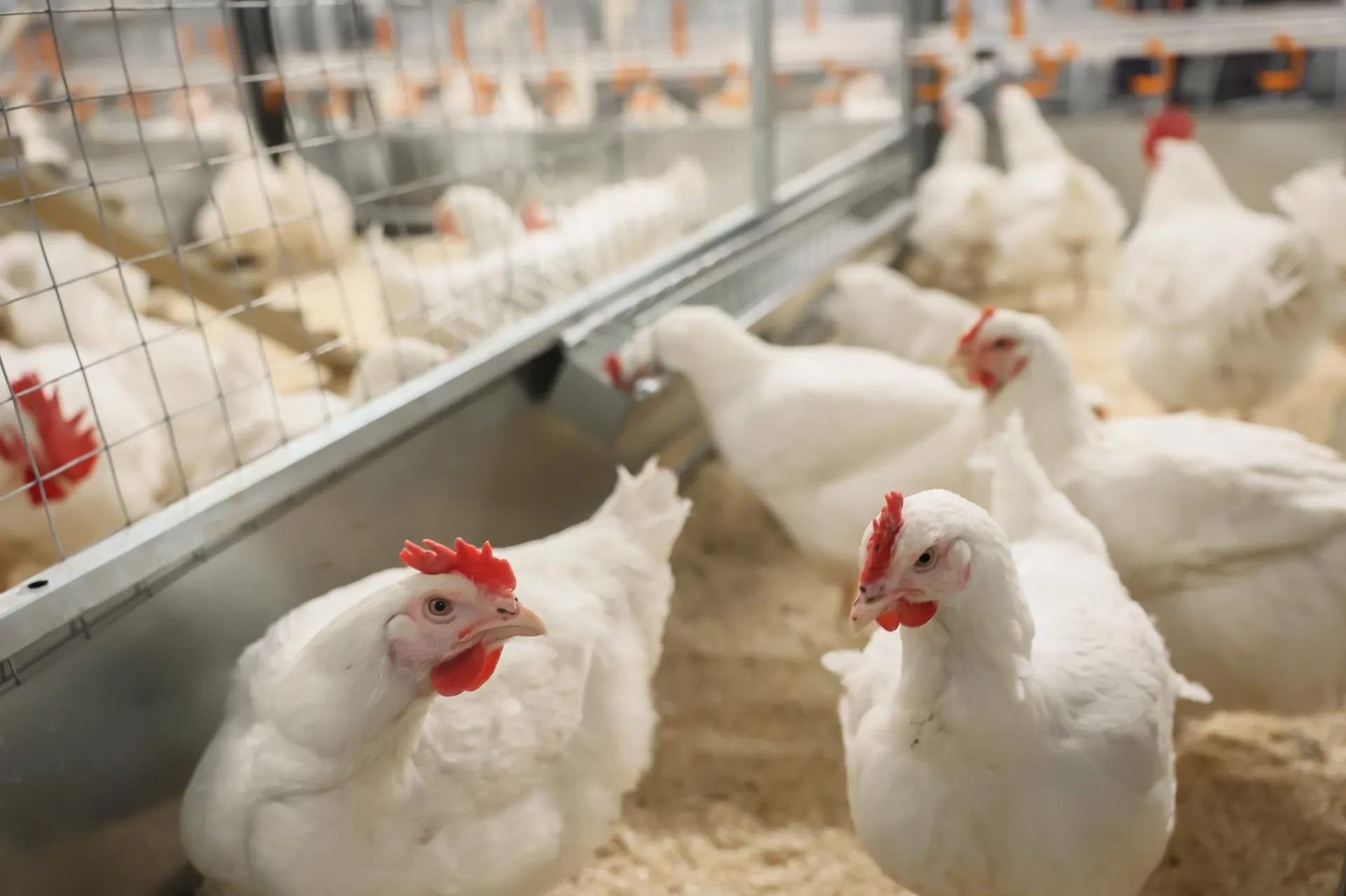 Фото: Константин Семенец