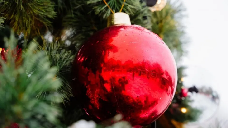 Фото: vk.com/Парки муницпального округа Чехов