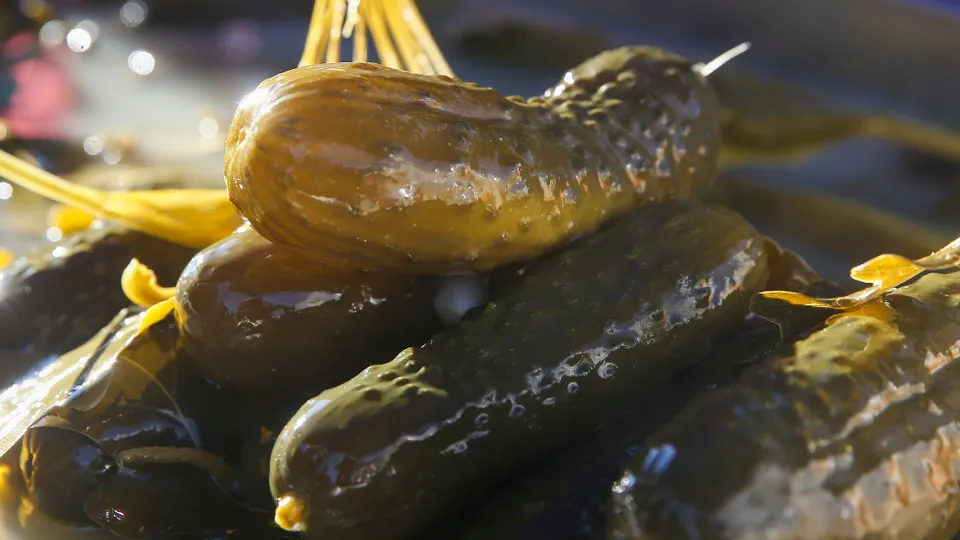 Фото: ТАСС/Сергей Мальгавко