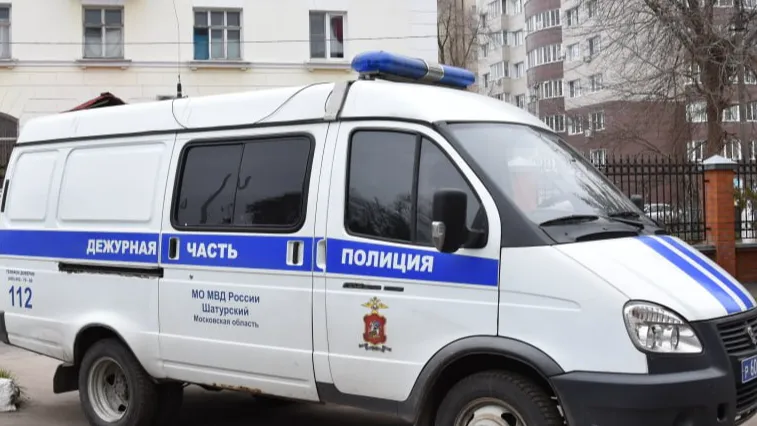 Фото из архива "Большой Шатуры"